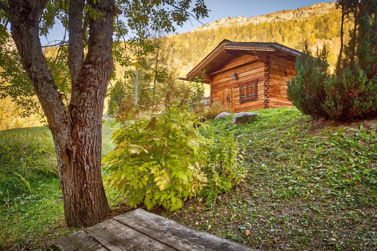 Chalet Chalet Higamel Chamonix