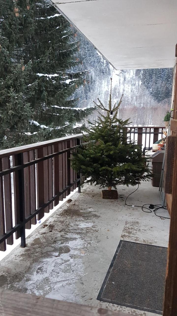 Native * Chamonix