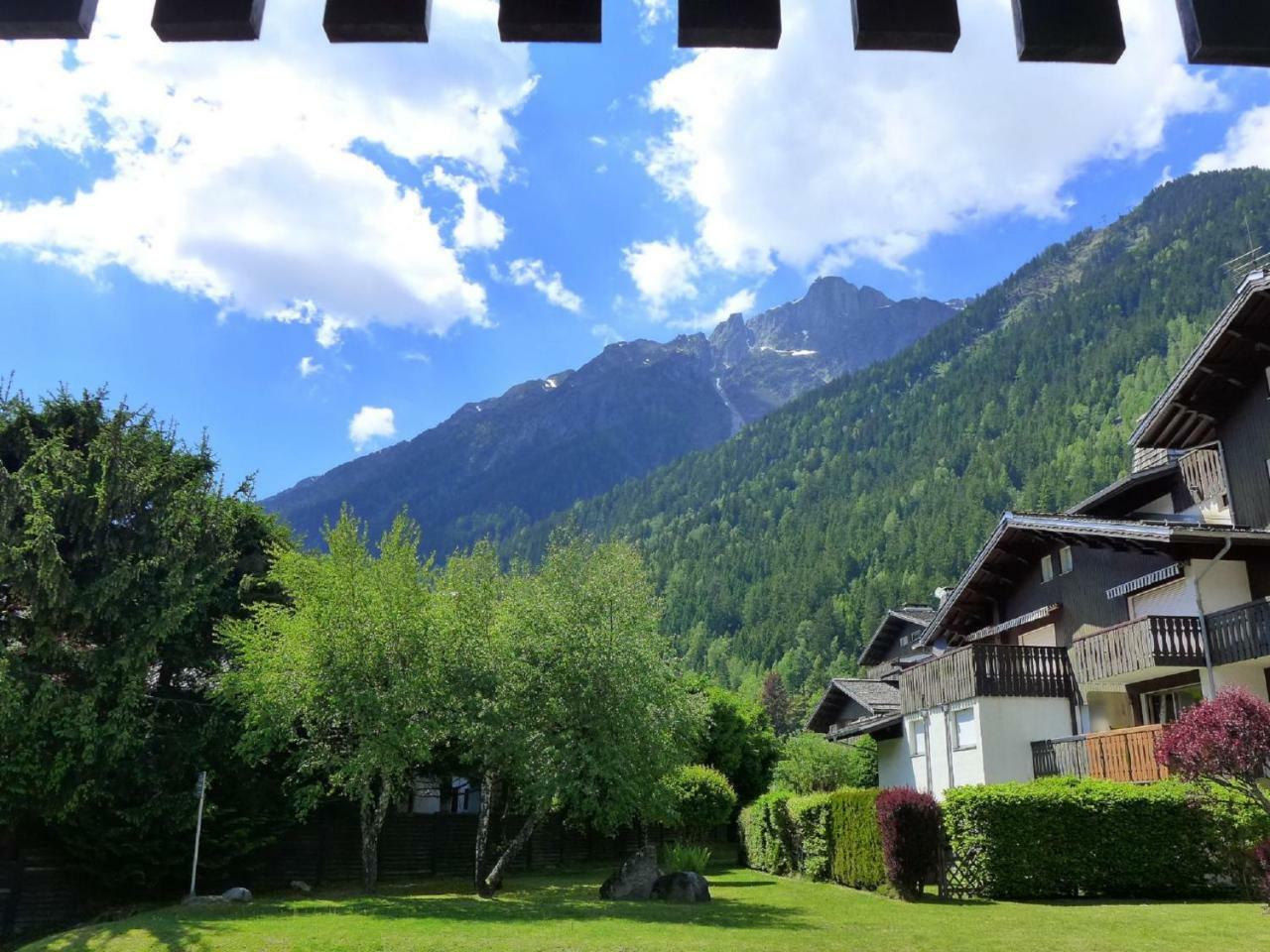 Lachenal C103 - Happy * Chamonix