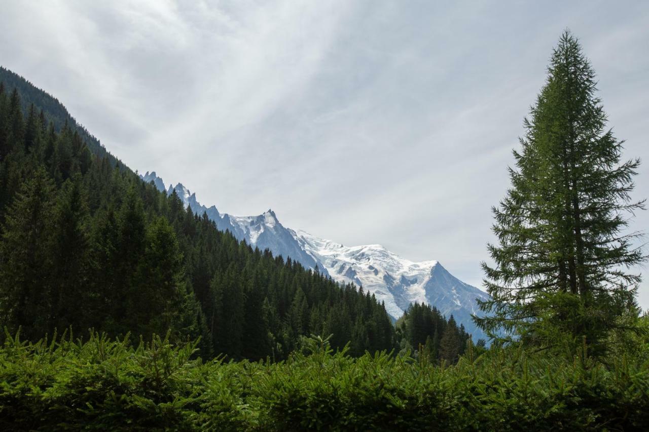 Chalet L'ilet - Happy Chalet Chamonix
