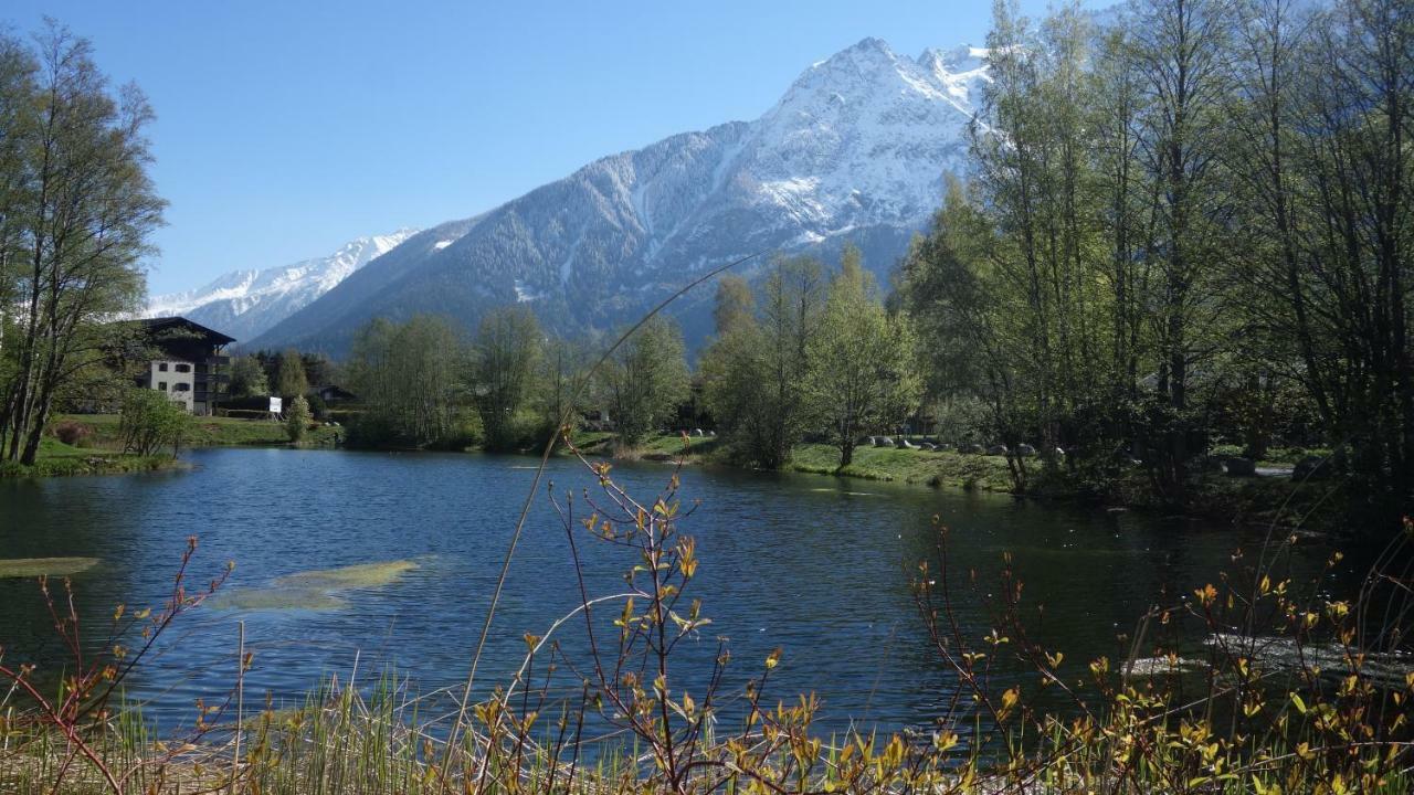 Apartment Bel , Son Jardin Et Le Lac *