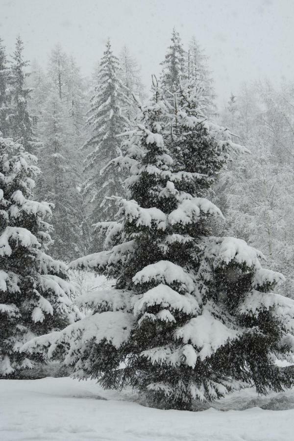 Apartment Argentiere - Ideal For Or Summer