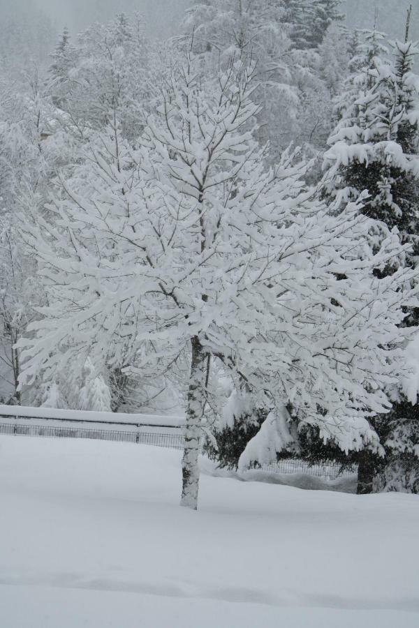 Argentiere - Ideal For Or Summer Apartment