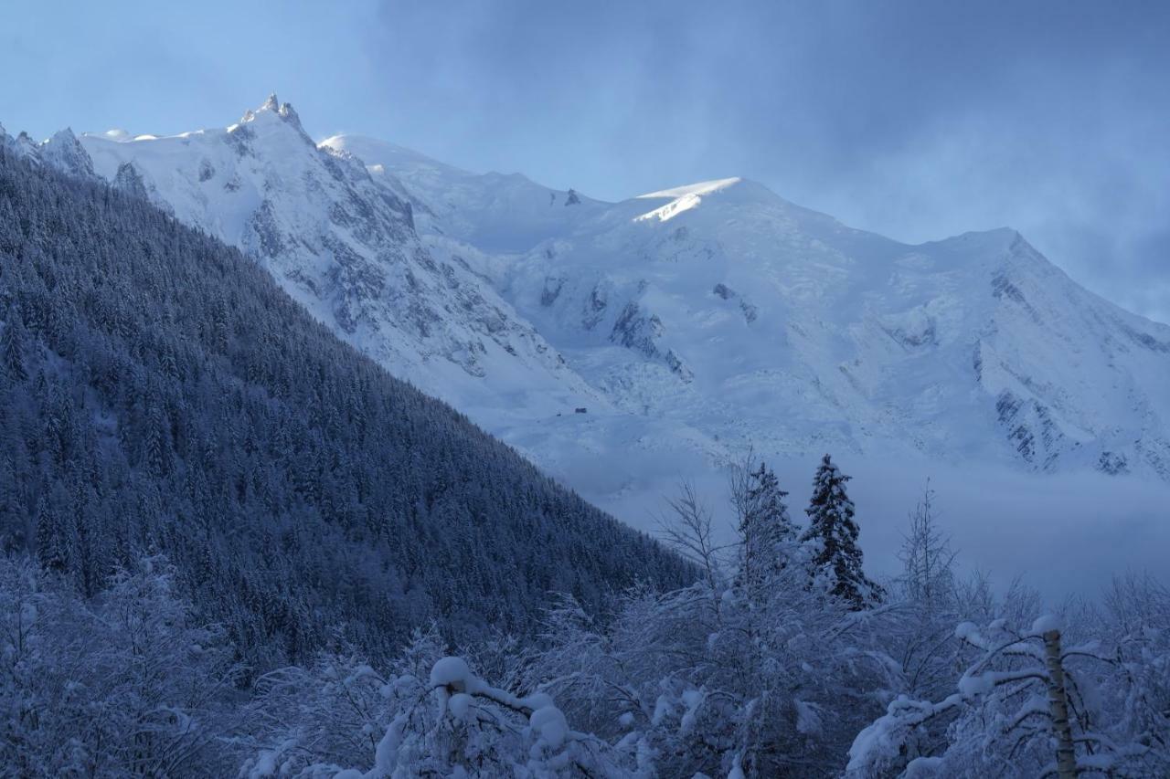 Argentiere - Ideal For Or Summer Chamonix