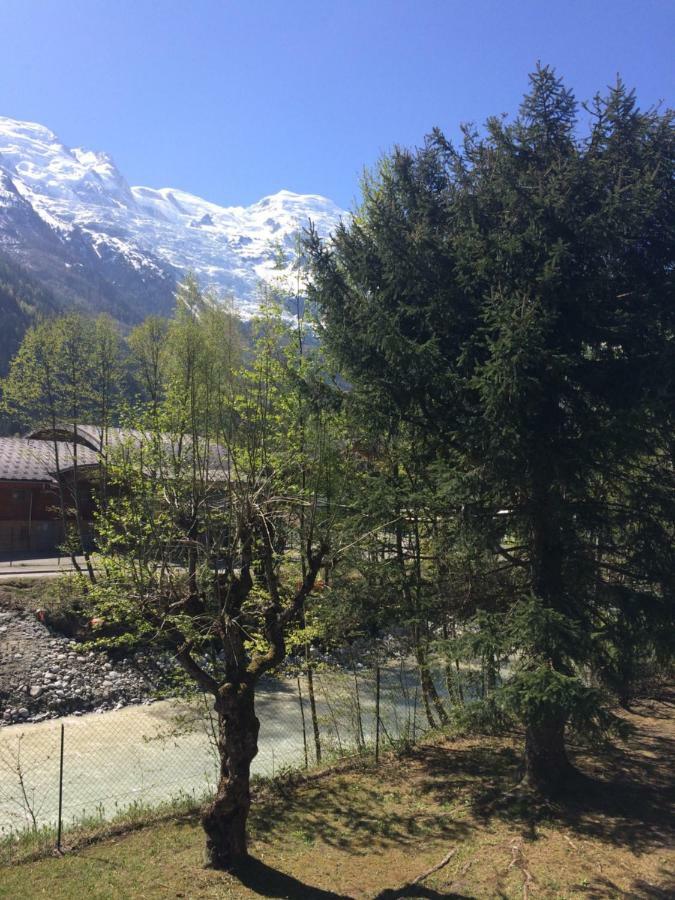 Lumineux Avec Vue Sur Le Massif Du Mont-blanc Apartment *