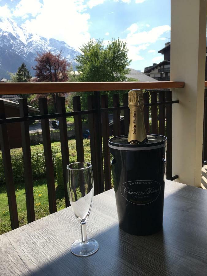 Apartament Z Widokiem Na Mt Blanc Apartment Chamonix
