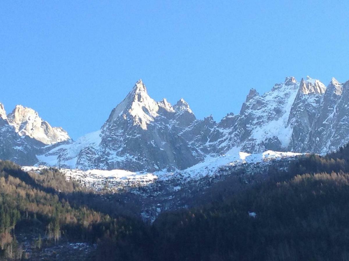 Apartment La Ginabelle Chamonix