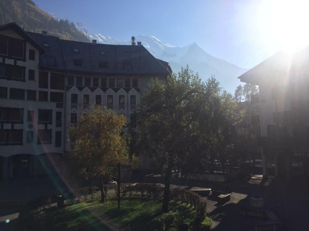 Vue Mont Blanc Chamonix