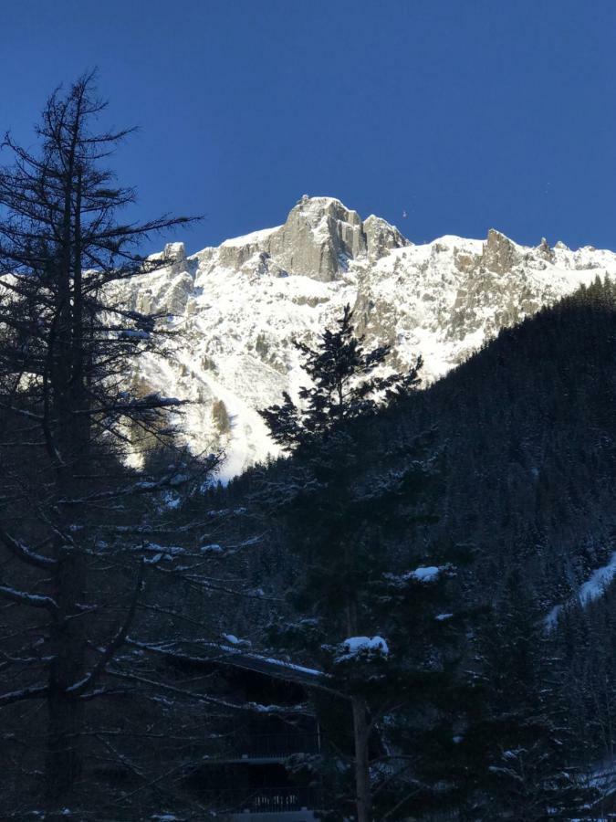 Brevent - Meleze