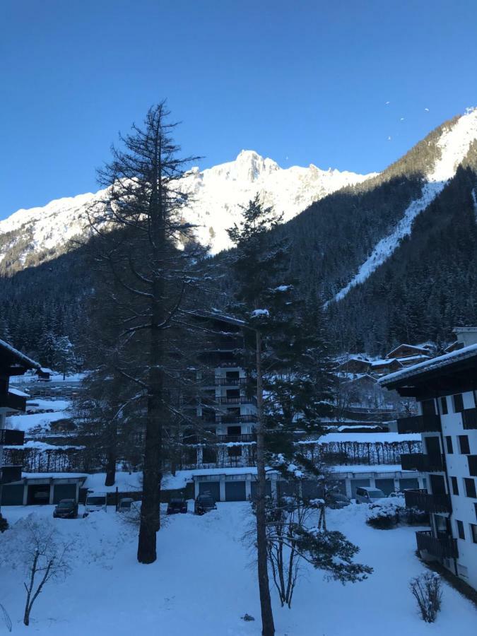 Apartment Brevent - Meleze *