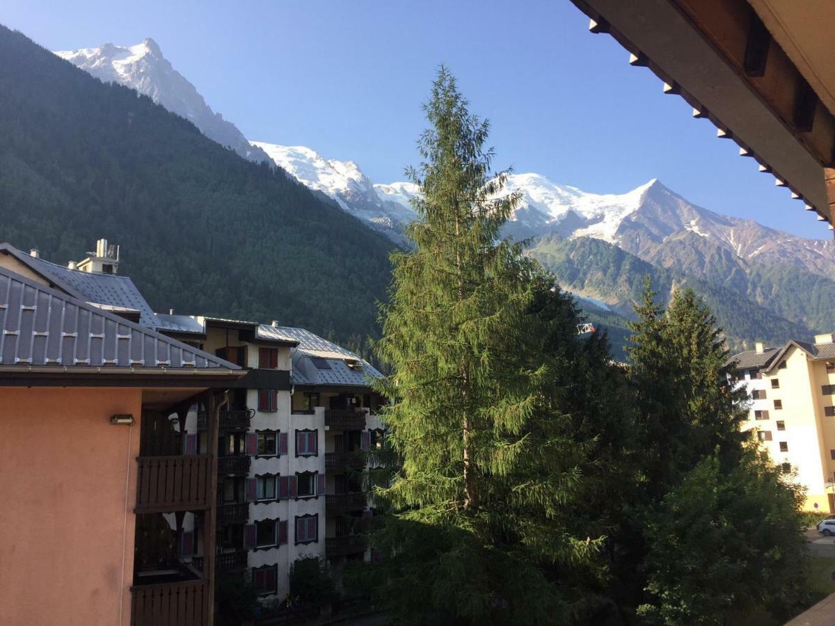 Studio Centre With Mont-blanc View Chamonix