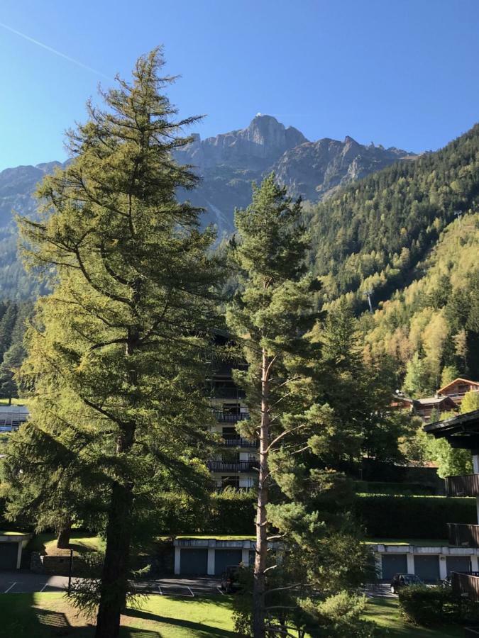 Brevent - Meleze Chamonix