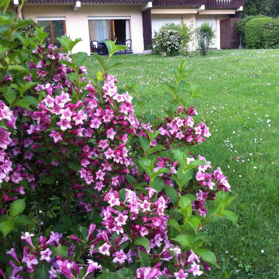 Front Slope Apartment *