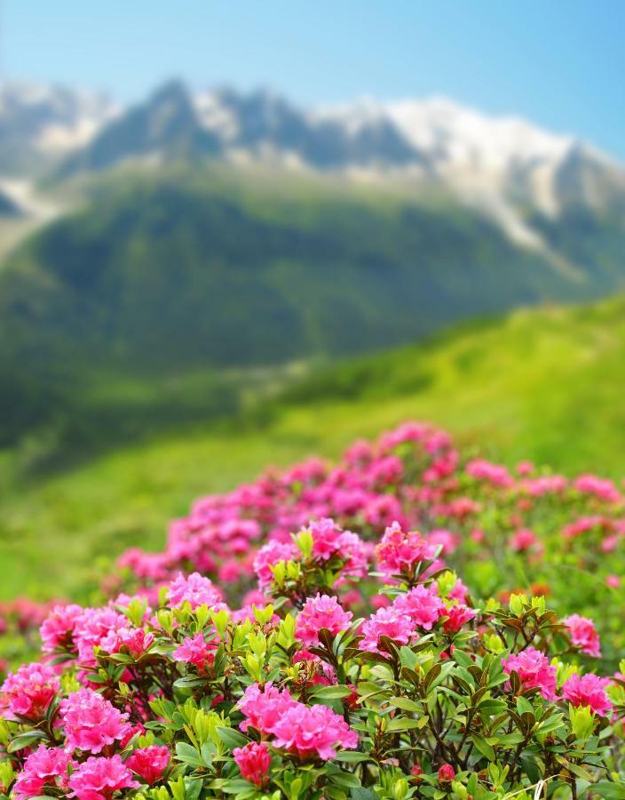 Marie Paradis Chamonix