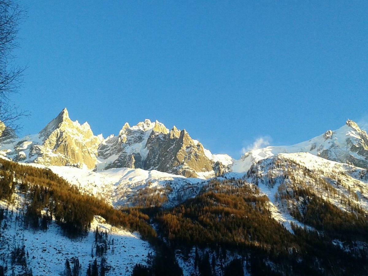 Capucine Apartment Chamonix