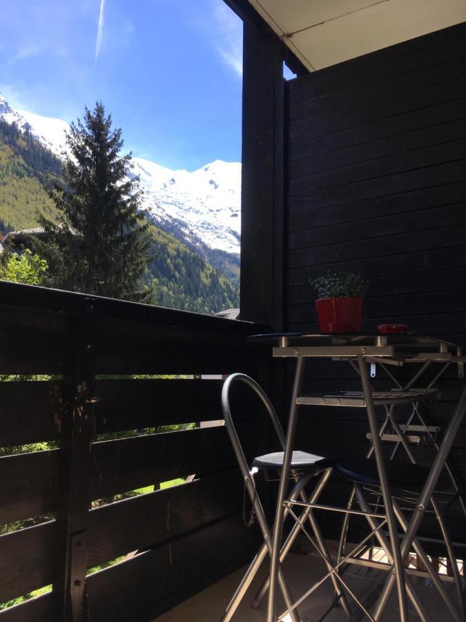 Face Au Mont Blanc Apartment