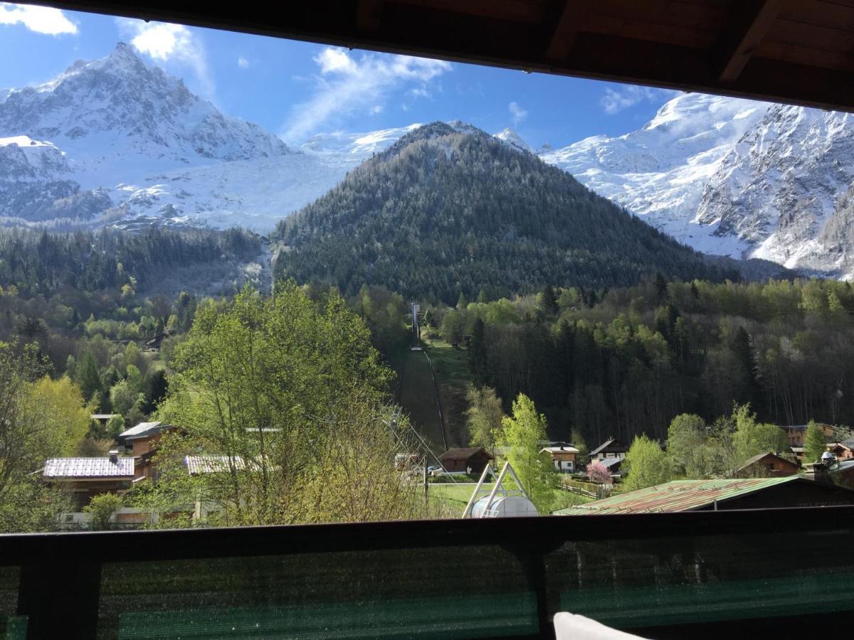 Face Au Mont Blanc & Glaciers Apartment