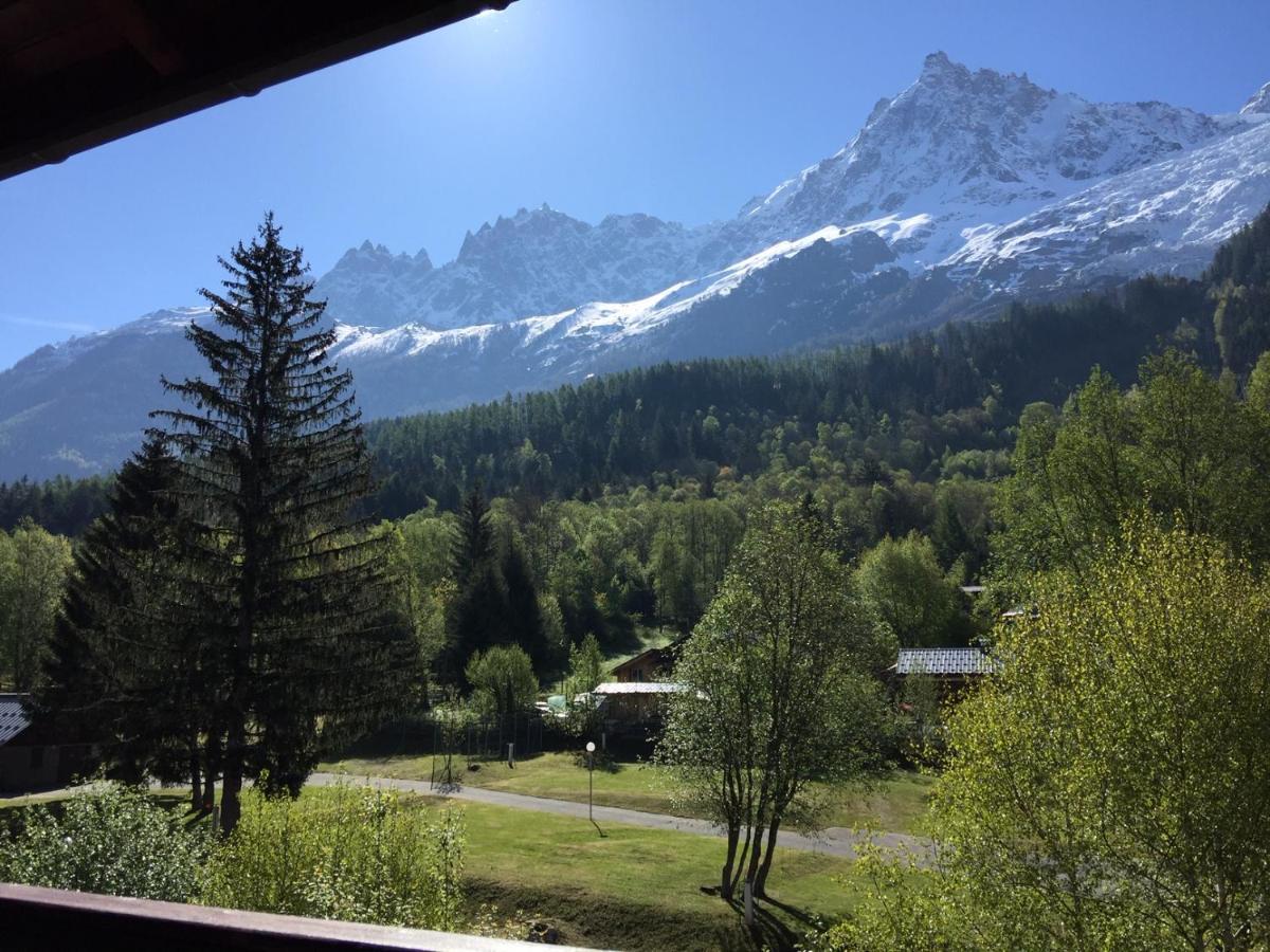 Apartment Face Au Mont Blanc & Glaciers *