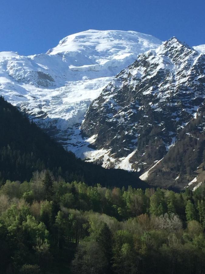 Face Au Mont Blanc & Glaciers Apartment *