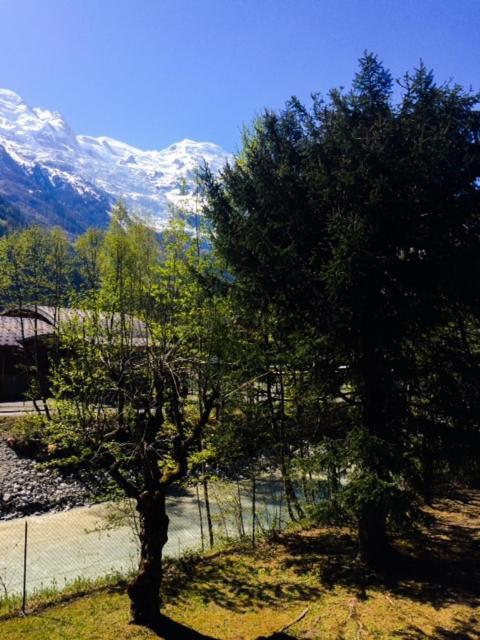 Apartment Lumineux Avec Vue Sur Le Massif Du Mont-blanc Chamonix