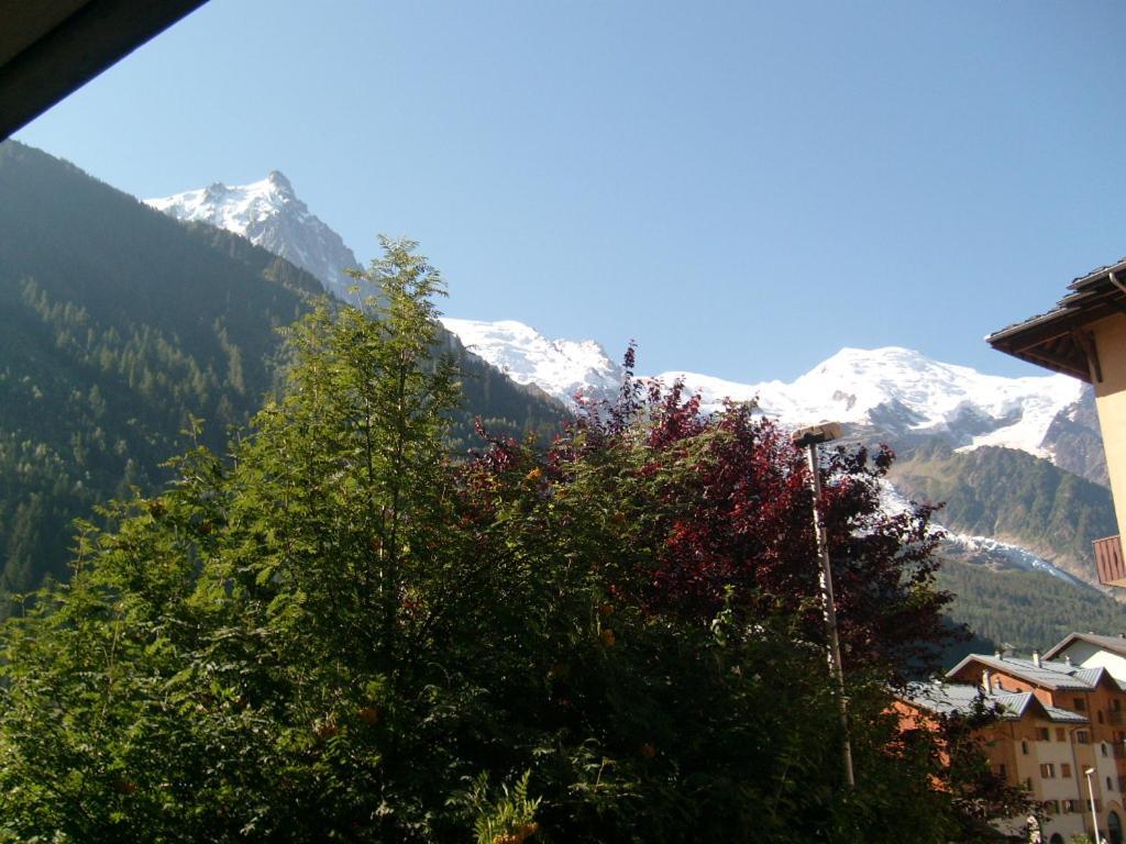 T2 Centre Balcon Vue Mont Blanc Chamonix