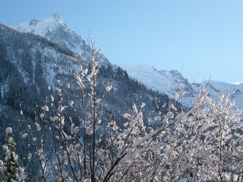 T2 Centre Balcon Vue Mont Blanc Apartment *