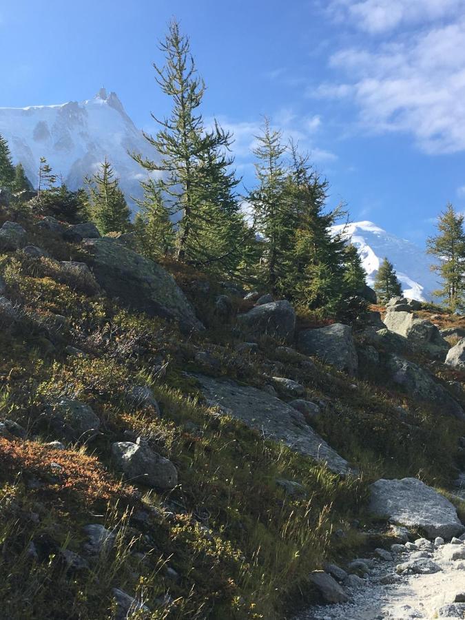 Hotel Aiguille Du Midi - & Restaurant 3*
