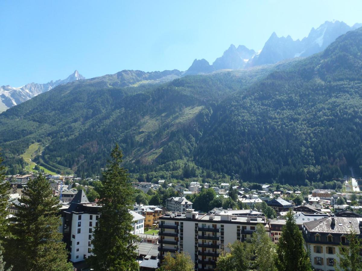 Majestic Apartment Chamonix
