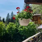Chalet Falcon With Hot Tub - In A Great Location!