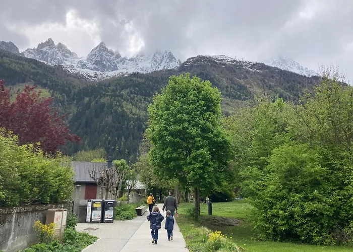 Abeille De Chamonix