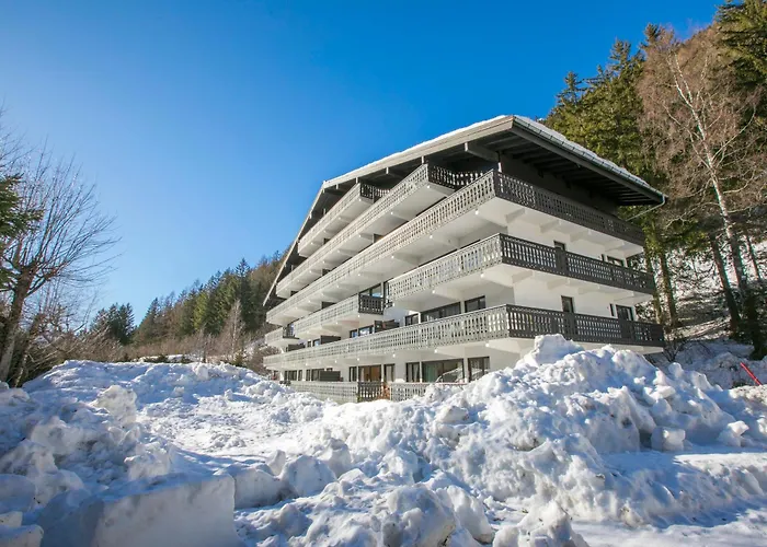 Residence Androsace 31 - Happy Rentals