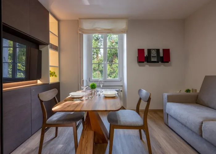 Charming City-Centre Studio - Mont Blanc View