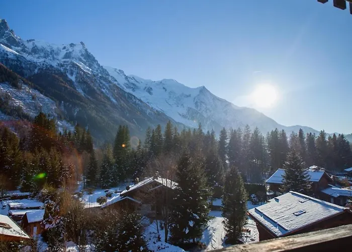 Studio A Chamonix Avec Parking Et Animaux Admis - Fr-1-517-35