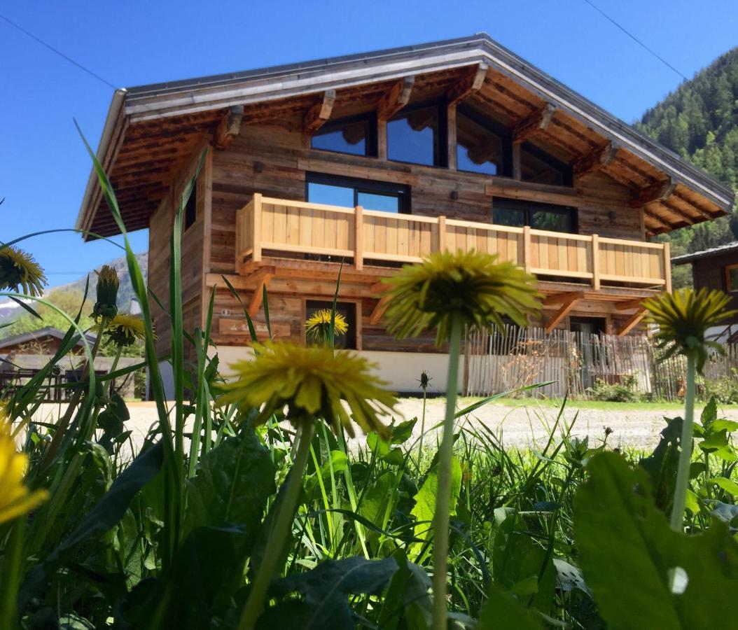 Le Petit Nicolas, Jacuzzi, Vue Mont Blanc Chamonix