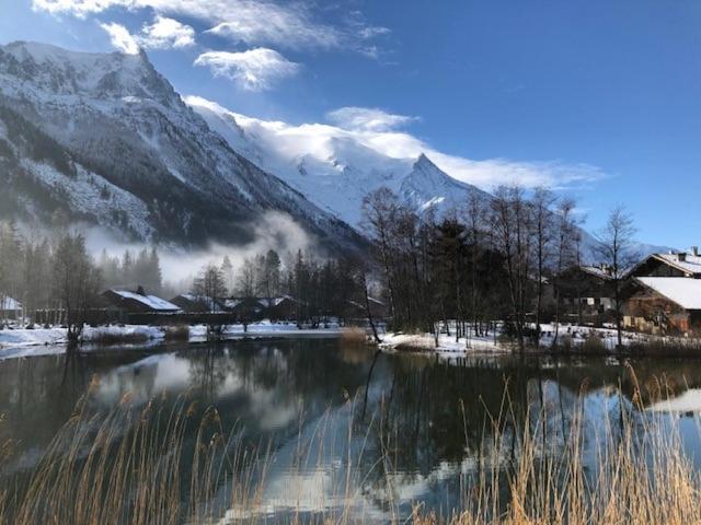 Appartement Au Calme Avec Jardin Et Vue Mont-blanc Chamonix