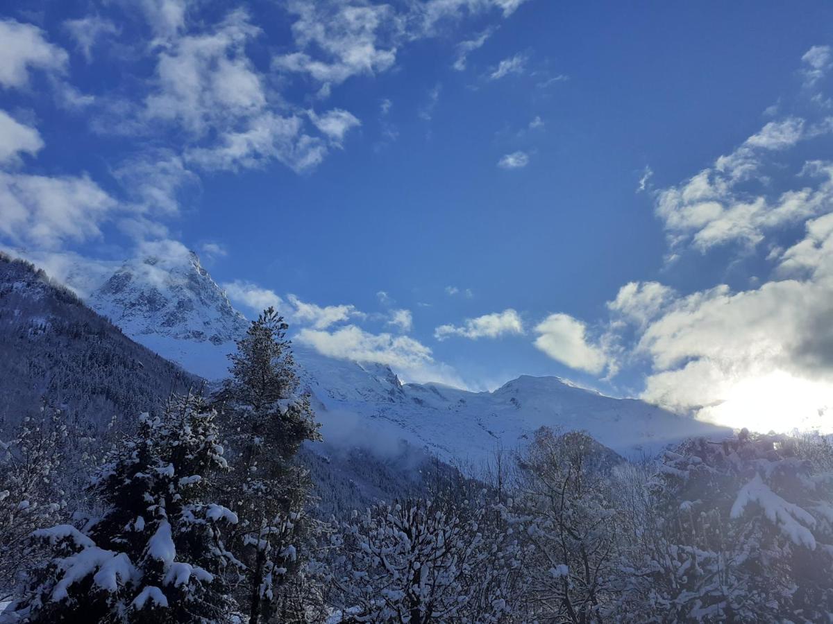 Quartier Calme Centre Vue Mont Blanc Appartement