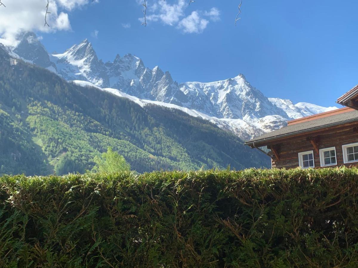Appartements, Chalet Le Labrador * Chamonix