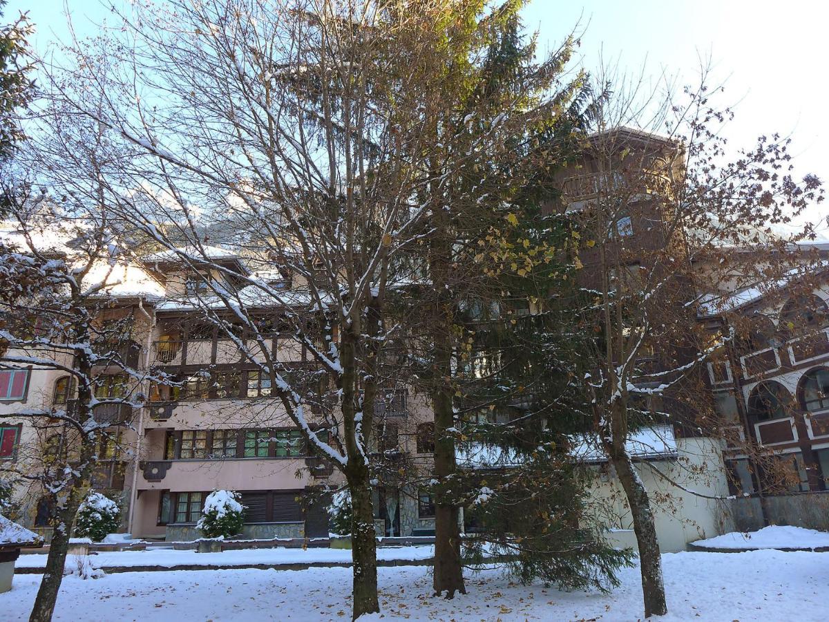 Jonquilles-14 By Interhome * Chamonix