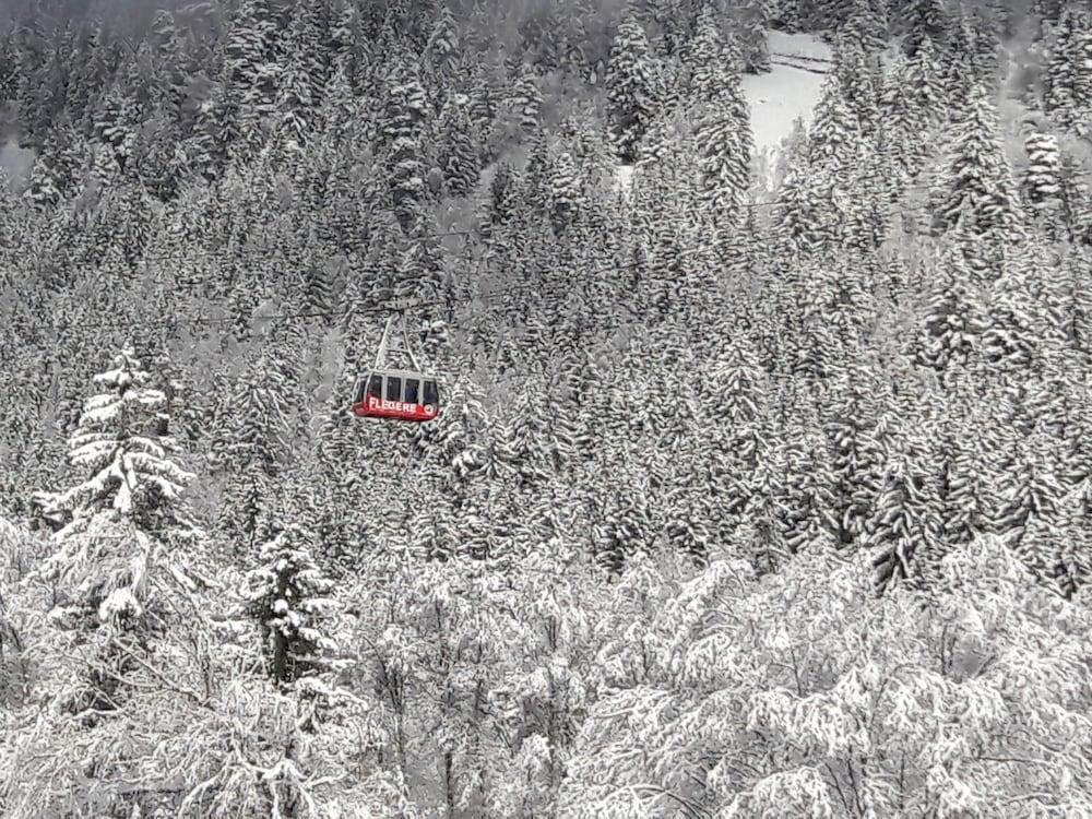 Le Labrador Hotel Chamonix