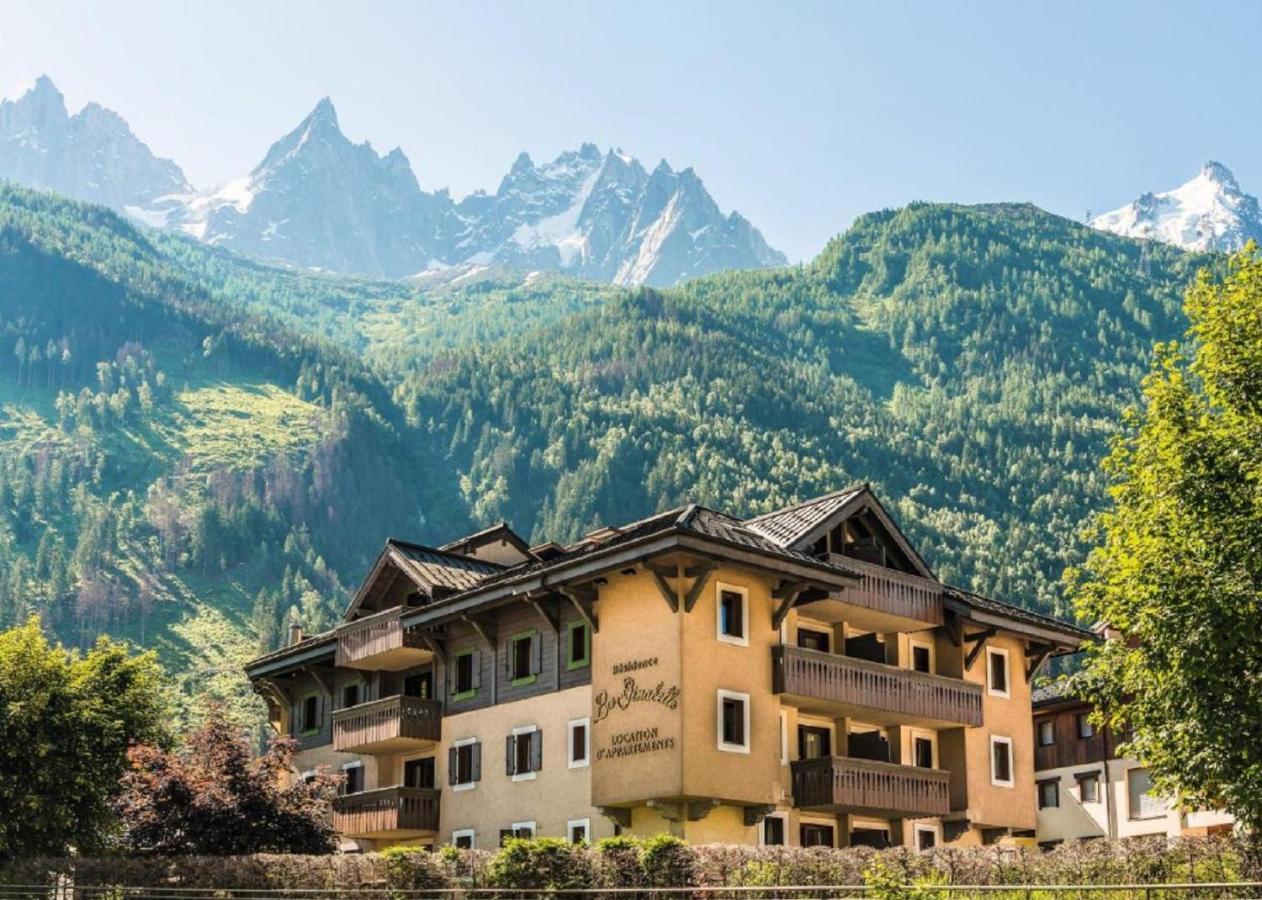 La Ginabelle Vue Mont Blanc Avec Piscine Chamonix