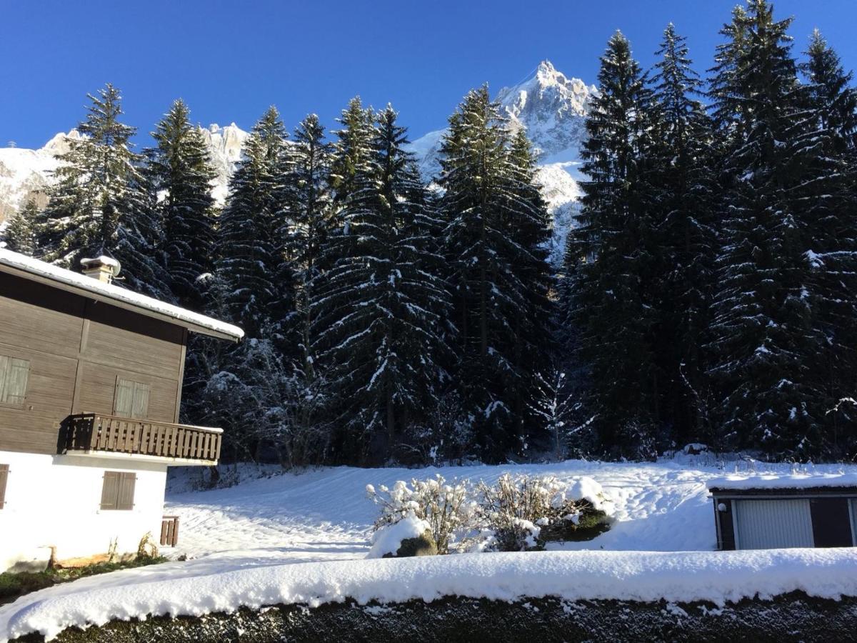Cosy Au Pied Du Mtblanc Apartment Chamonix