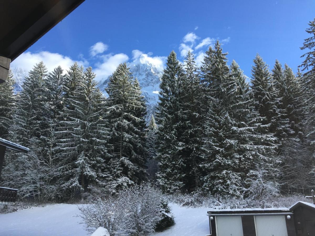 Apartment Cosy Au Pied Du Mtblanc