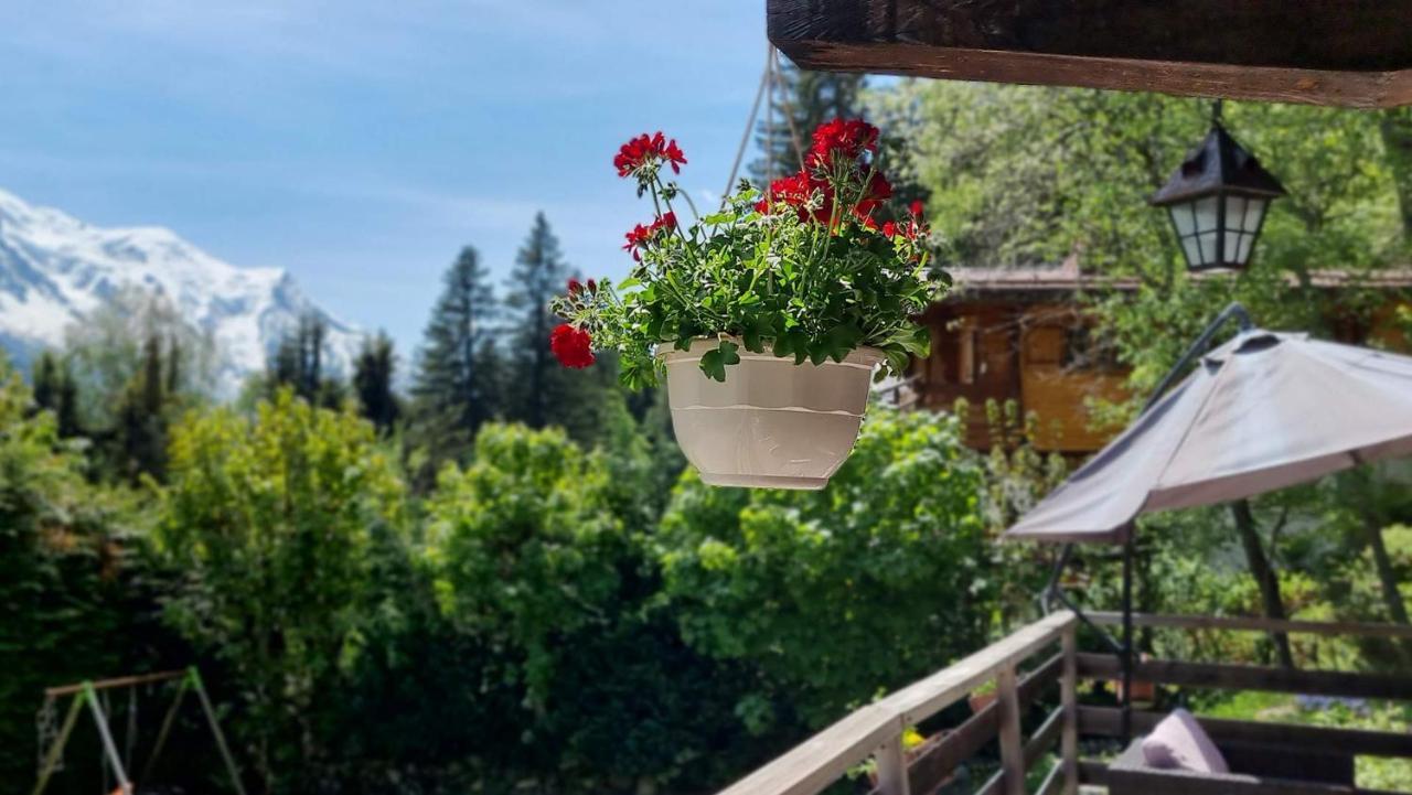 Falcon With Hot Tub - In A Great Location! * Chamonix