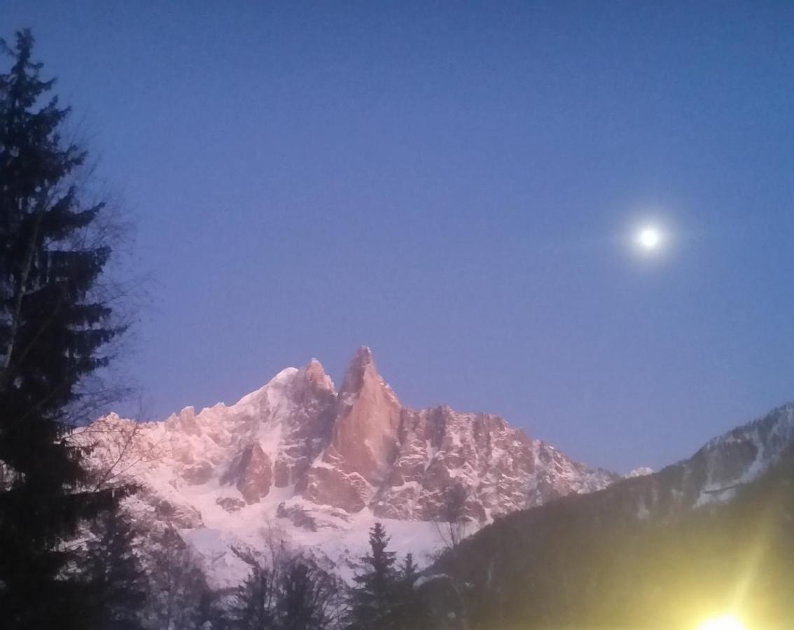 Le Labrador Hotel Chamonix