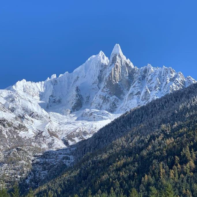 Appartement Belle Vue Des Praz *