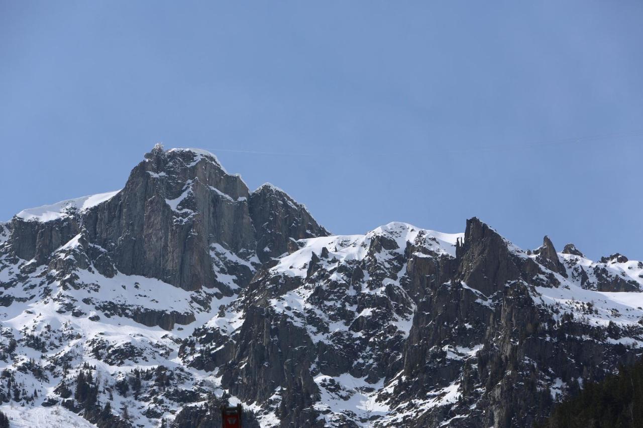 Superbe T3 En Face Du Brevent, Apartment Chamonix