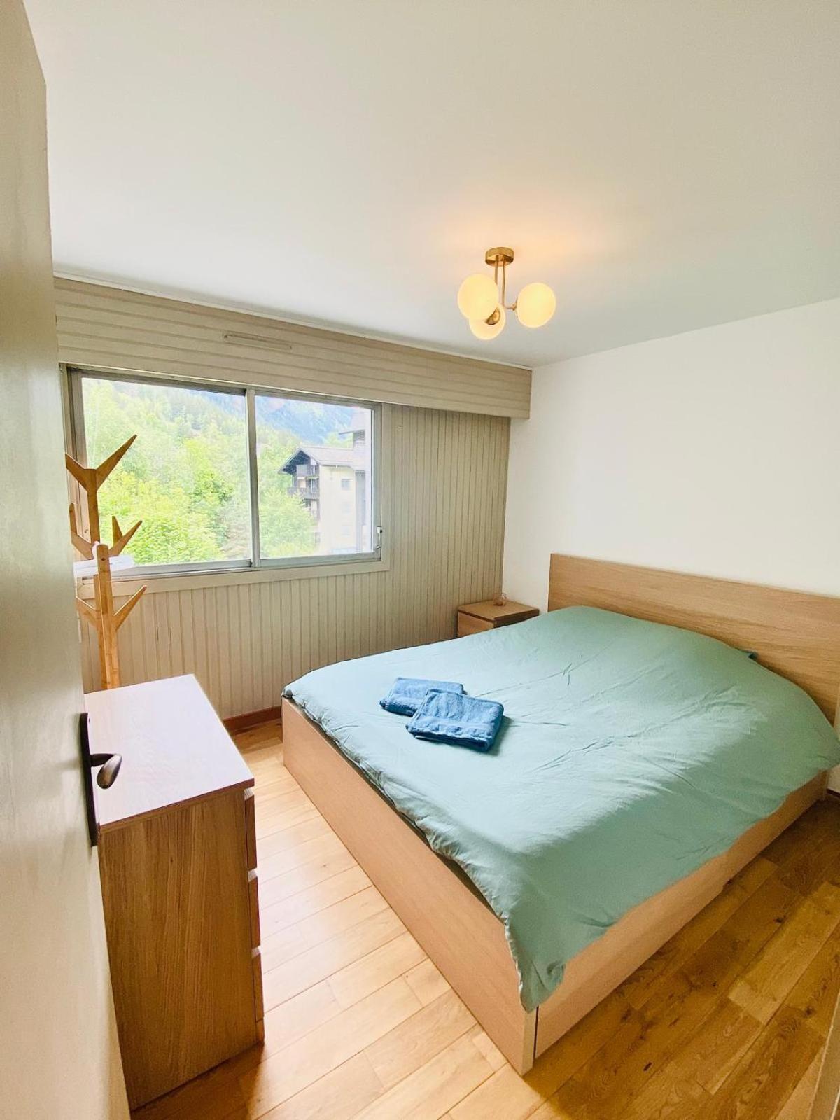 Pied Des Pistes/hyper Centre/balcon/parking Chamonix