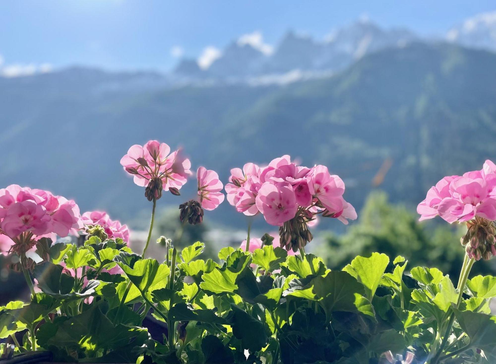 Breverly Hills Chamonix