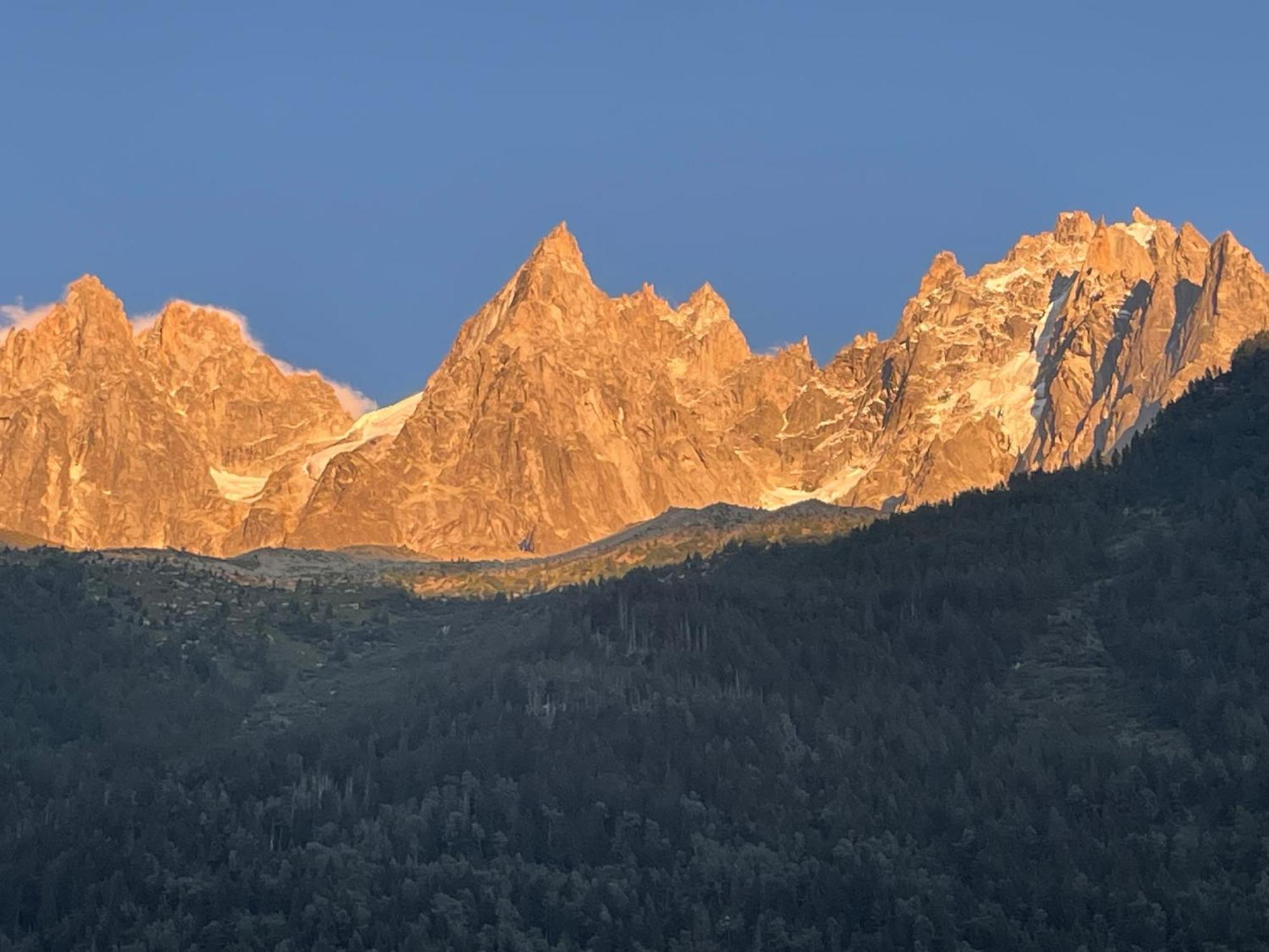 Magnifique Plein Centre Vue Panoramique * Chamonix