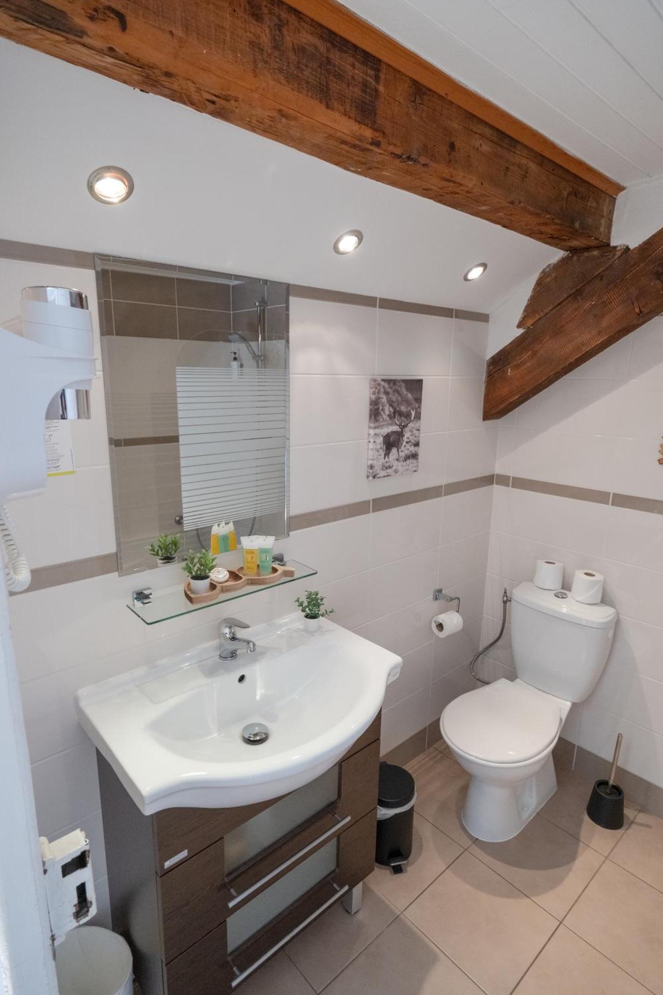 Hotel La Sapiniere Chamonix